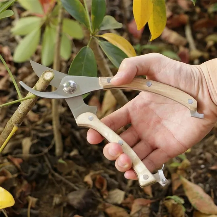Stainless Steel Garden Pruner-4